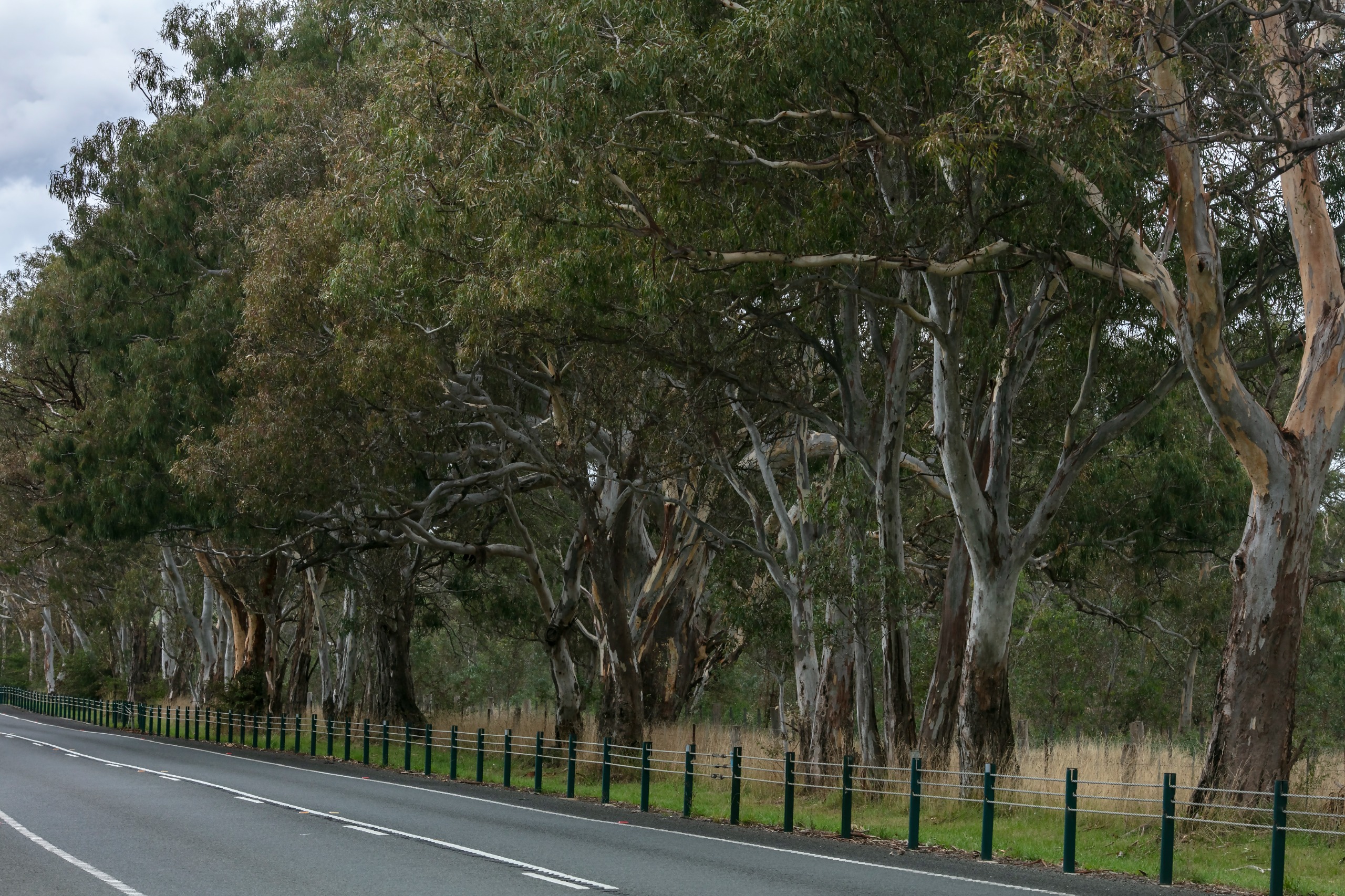 Naming proposal for 1755 Donnybrook Road Engage City of Whittlesea