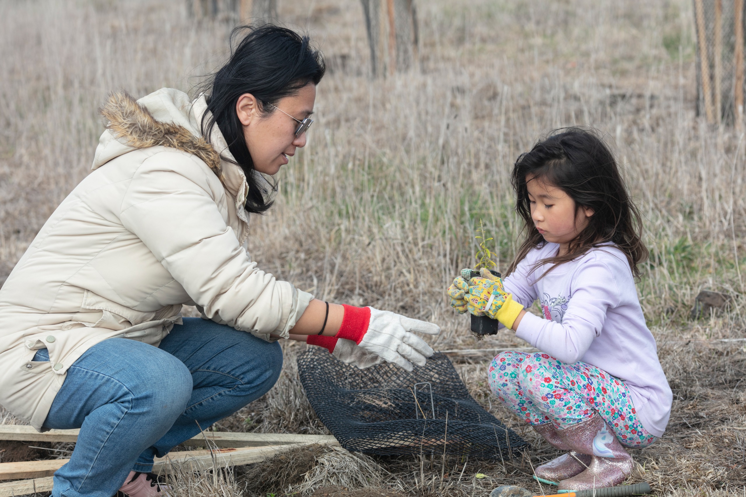 Image of a mother and daughter planting a tree